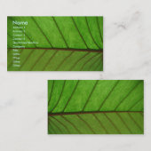 Carte de visite sur une feuille (Devant / Derrière)