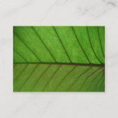 Carte de visite sur une feuille (Dos)