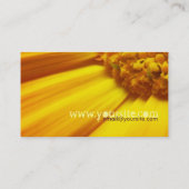 Carte de visite surprise (Dos)