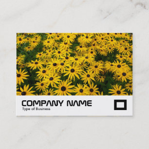 Carte De Visite Susans aux yeux noirs (Rudbeckia Hirta)