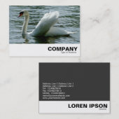 Carte De Visite Swan (Devant / Derrière)