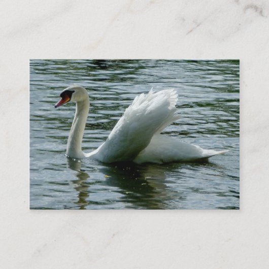 Carte De Visite Swan (Devant)