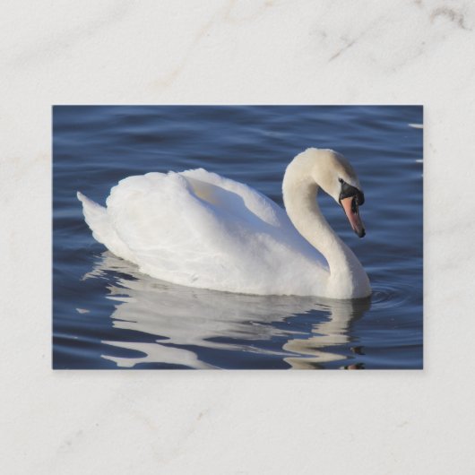 Carte De Visite Swan (Devant)