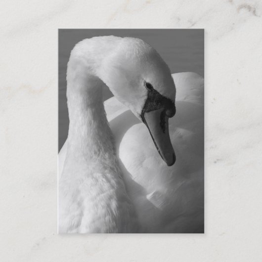 Carte De Visite Swan B&W (Devant)