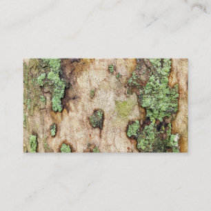 Carte De Visite Sycamore arbre écorce mousse Lichen