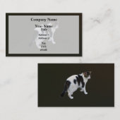 Carte De Visite Tabby Blanc Avec Patches Sombres (Devant / Derrière)