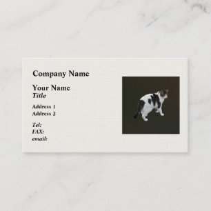 Carte De Visite Tabby Blanc Avec Patches Sombres