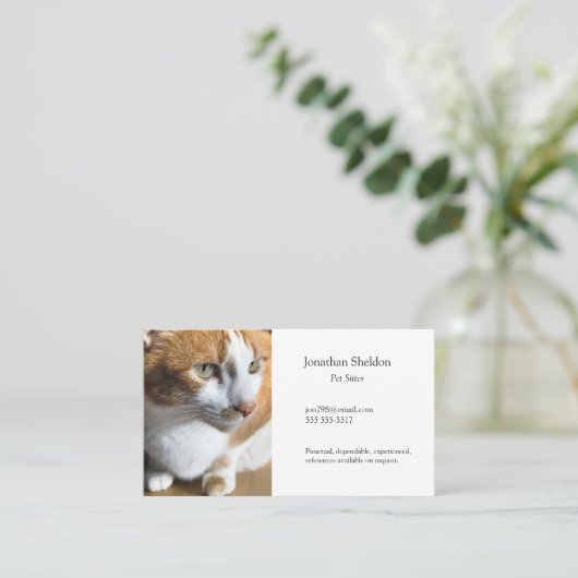 Carte De Visite Tabby cat closeup (Debout devant)