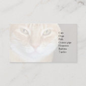 Carte De Visite Tabby cat closeup (Dos)