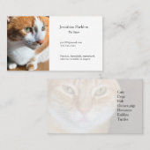 Carte De Visite Tabby cat closeup (Devant / Derrière)
