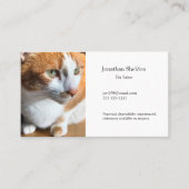 Carte De Visite Tabby cat closeup (Devant)