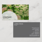 Carte De Visite Table ronde en demi-cercle - Sédum Automne Glory (Devant / Derrière)