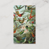 Carte De Visite tableau classique de la faune des oiseaux colibris (Dos)