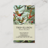 Carte De Visite tableau classique de la faune des oiseaux colibris (Devant)