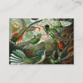 Carte De Visite tableau classique de la faune des oiseaux colibris (Dos)