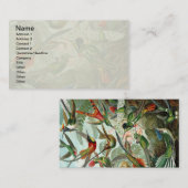 Carte De Visite tableau classique de la faune des oiseaux colibris (Devant / Derrière)