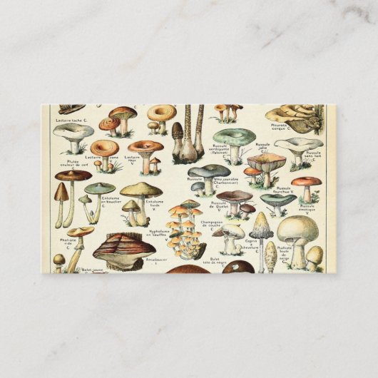 Carte De Visite Tableau vintage des champignons comestibles (Devant)