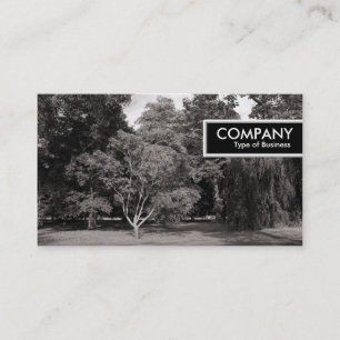 Carte De Visite Tag Edge - Arbres, Parc Bute, Cardiff - WarmBW