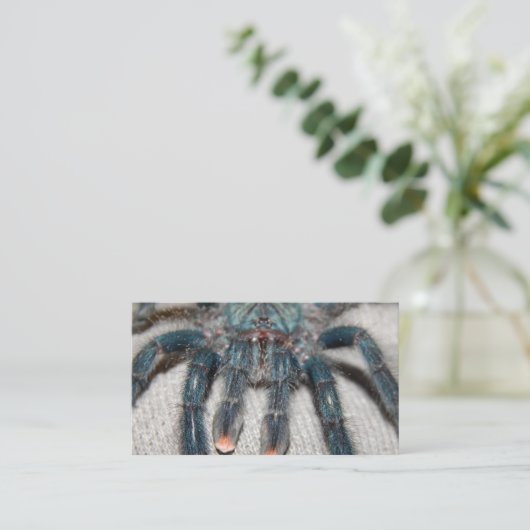 Carte De Visite tarantule bleue (Debout devant)
