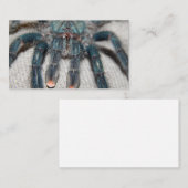 Carte De Visite tarantule bleue (Devant / Derrière)