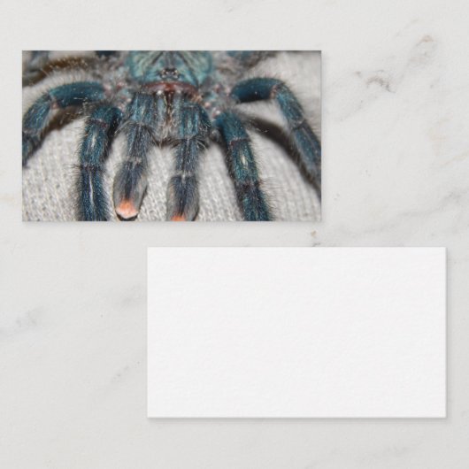 Carte De Visite tarantule bleue (Devant / Derrière)