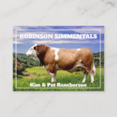 Carte De Visite Taureau Simmental dans le pâturage    (Devant)