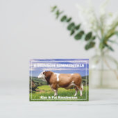 Carte De Visite Taureau Simmental dans le pâturage    (Debout devant)