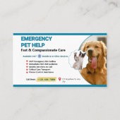Carte De Visite Teal & Yellow Pet Emergency Veterinary - Emergency (Devant)