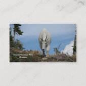 Carte de visite témoin (Dos)