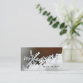 Carte De Visite Tempête de neige de 2009 (Debout devant)