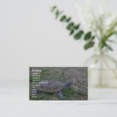 Carte De Visite Terrapin de dos en forme de losange (Debout devant)