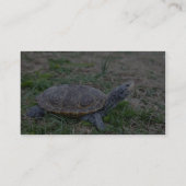 Carte De Visite Terrapin de dos en forme de losange (Dos)