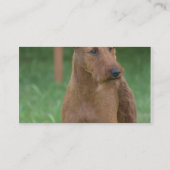 Carte De Visite Terrier irlandais mignon (Dos)
