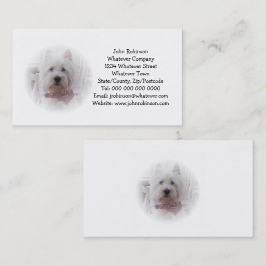 Carte de visite Terrier West Highland (Devant / Derrière)