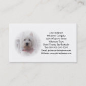 Carte de visite Terrier West Highland (Devant)