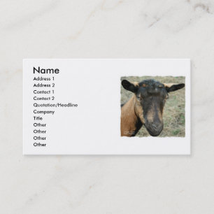 Carte De Visite Tête brune de chèvre d'Oberhasli tirée en coule