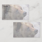 Carte De Visite Tête d'ours (Devant / Derrière)