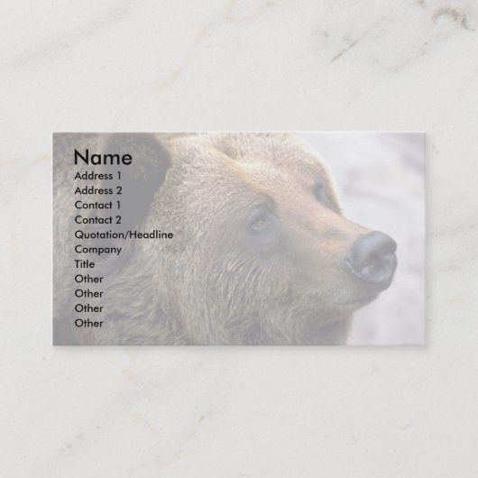 Carte De Visite Tête d'ours (Devant)