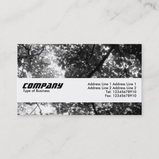 Carte De Visite Texture Band - Dans les arbres (Devant)