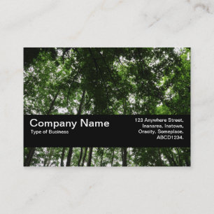 Carte De Visite Texture Band V2 - Canopée de la forêt 01