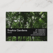 Carte De Visite Texture Band V2 - Canopée de la forêt 02 (Dos)