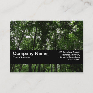 Carte De Visite Texture Band V2 - Canopée de la forêt 02