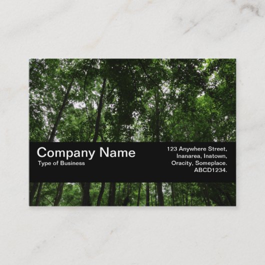 Carte De Visite Texture Band V2 - Canopée de la forêt 02 (Devant)