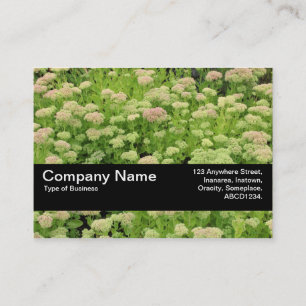 Carte De Visite Texture Band V2 - Sedum (Joie d'Automne)