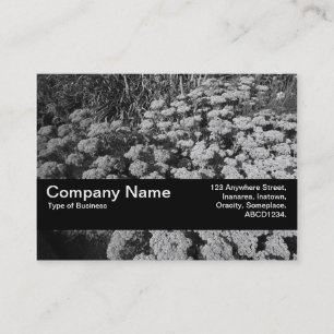 Carte De Visite Texture Band V2 - Sedum "Joie d'Automne"