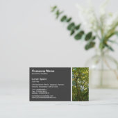 Carte De Visite Texture de ton - Arbre Magnolia (Debout devant)