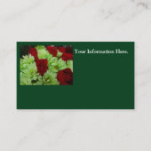 Carte De Visite Thomasse (Devant)