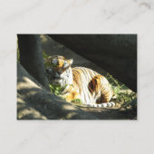 Carte De Visite Tiger Catnap (Dos)
