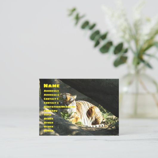 Carte De Visite Tiger Catnap (Debout devant)