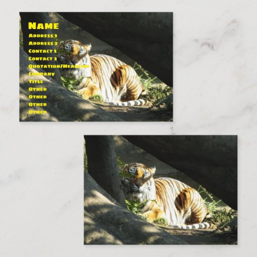 Carte De Visite Tiger Catnap (Devant / Derrière)